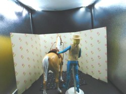 jane west horse view back